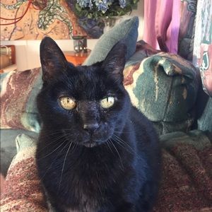 Meet your Posher, Kimberly